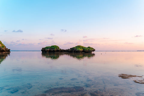 沖縄の「ぬちぐすい」生まれ育った土地の文化を再発見する。Vol.1 「ハッピーモア市場」 in 宜野湾市