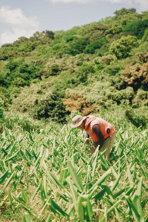 GRØNのサイトがリニューアルしました