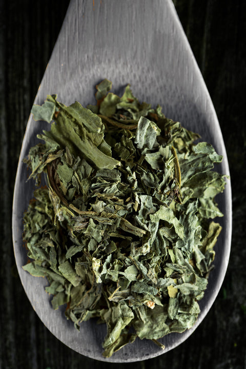 薬としてのお茶 Tea as Medicine (抹茶の栄養素) 〜栄養士のColumn Vol. 13(後編)〜