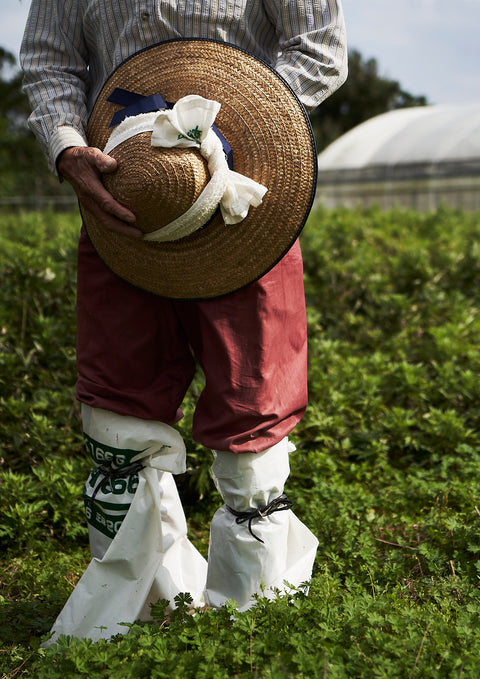 A visit to Okinawa Partners, spring in 2019