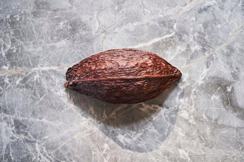 薬としてのカカオ Cacao as Medicine 〜栄養士のColumn Vol. 12〜