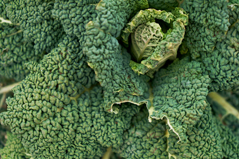 毛細血管の大切さ 〜栄養士のColumn Vol.62