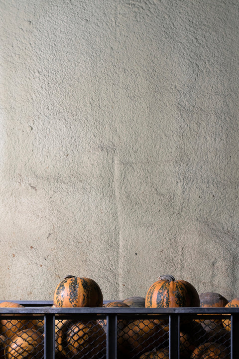 北海道・和寒を訪ねて(後編) 〜未来をつくる「かぼちゃの町」の「かぼちゃの種」〜