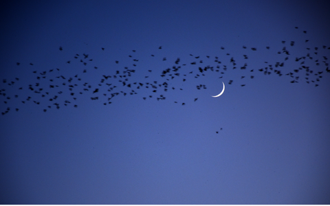 月の満ち欠けと心と体の変化:新月・満月に合わせた整え方 〜栄養士のColumn Vol.35