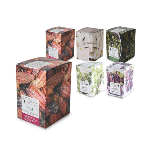 Criollo Berries 20g x 12pcs Plan