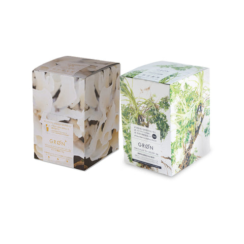 Golden Warrior 20g×12pcs Plan