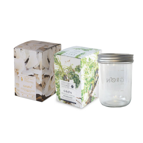 Golden Warrior 20g×12pcs Plan