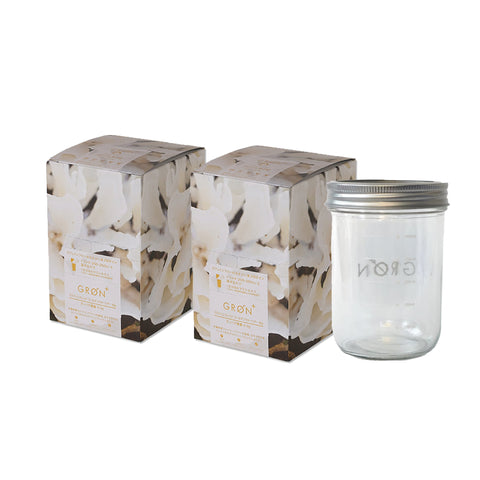 Golden Warrior 20g×12pcs Plan