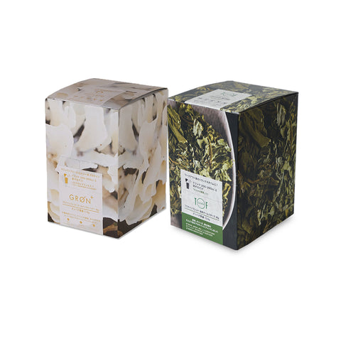 Golden Warrior 20g×12pcs Plan