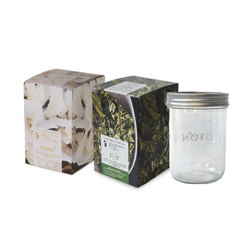 Golden Warrior 20g×12pcs Plan