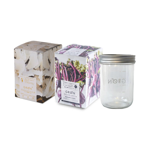 Golden Warrior 20g×12pcs Plan