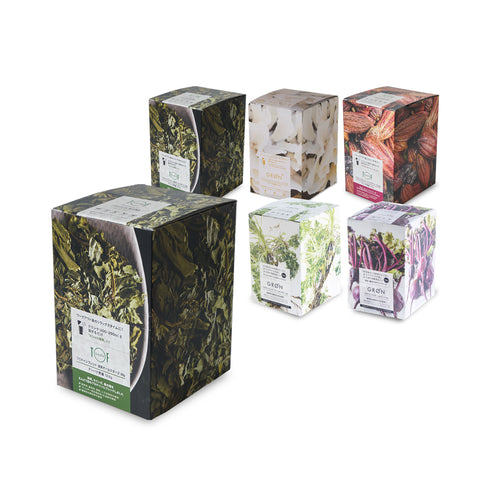 Matcha Allstars 20g x 12pcs Plan