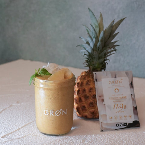 GRØN Protein Travelers Set Plan