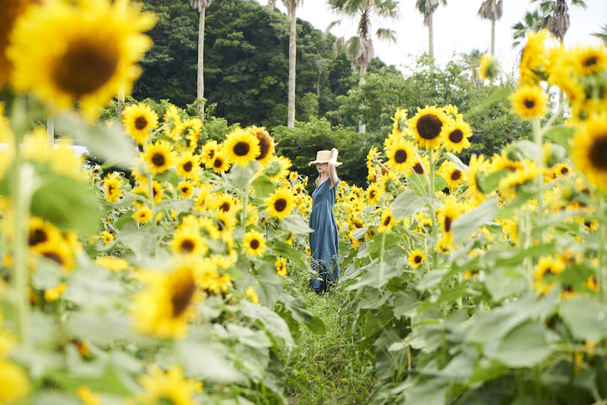 熱射病・夏バテにならないために  〜栄養士のColumn Vol.44