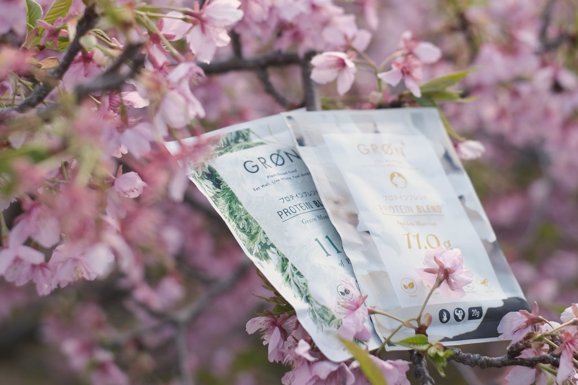 花粉症は食事で変わる？花粉症だけではない「ヒスタミン不耐症」の可能性〜栄養士のColumn Vol.157